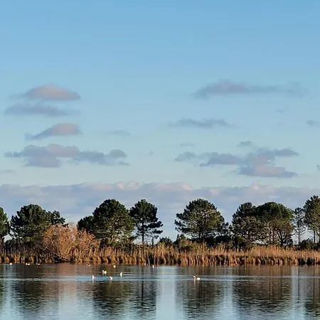 Casa Di Signare Lägenhet Ventiseri