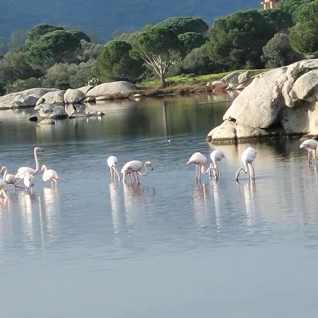 Casa Di Signare * Ventiseri