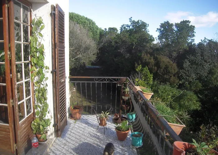 Casa Di Signare Appartement