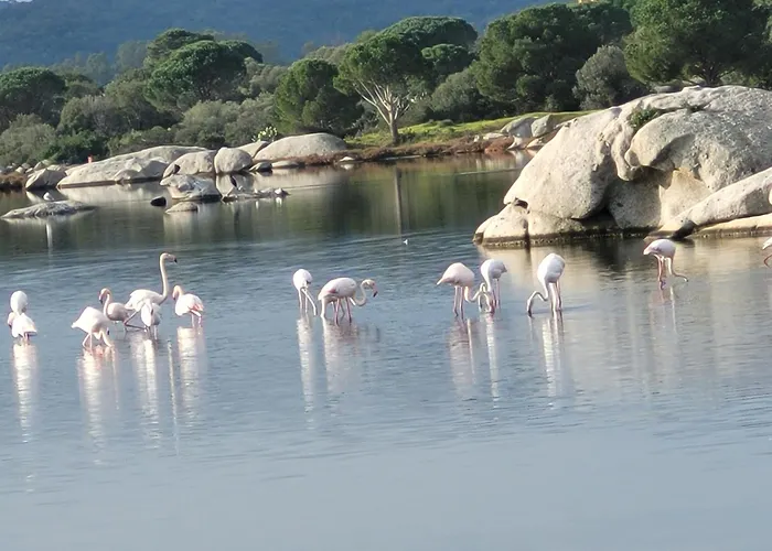 Casa Di Signare * Ventiseri